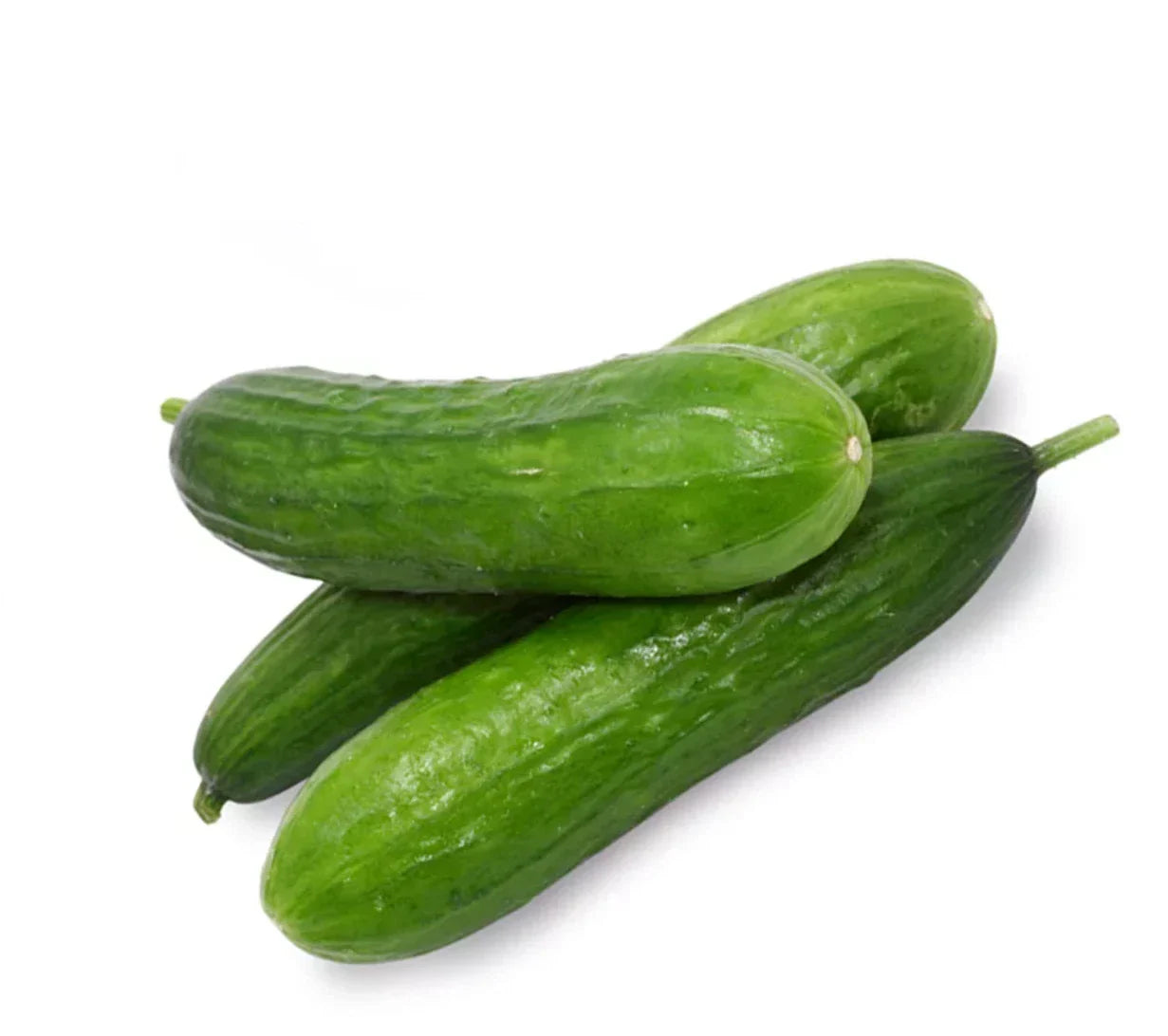 Beit Alpha Cucumber Seeds - Persian Burpless Non-GMO Cucumis sativus