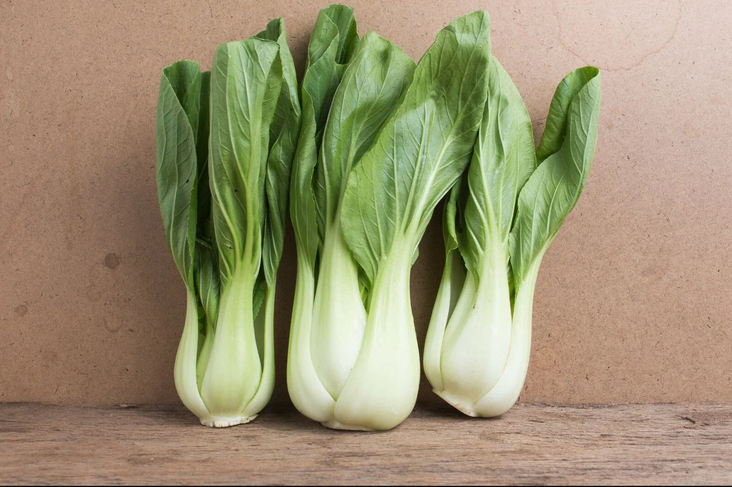 Bok Choy Seeds - 4000+ Non-GMO Chinese White Stem Pak Choi - Brassica rapa