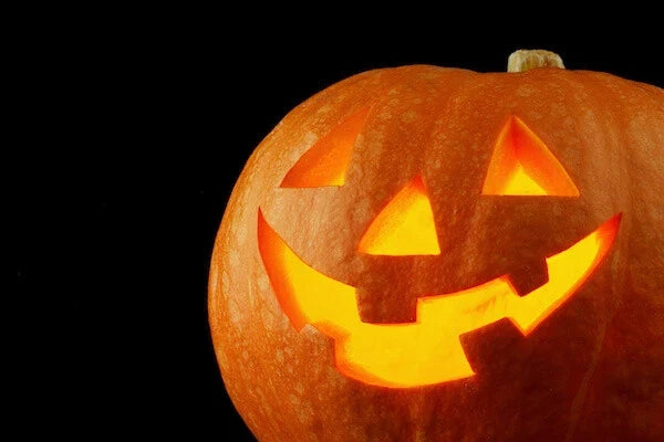 Jack O' Lantern Pumpkin Seeds for Planting | 20+ Cucurbita pepo Fall Garden Seeds
