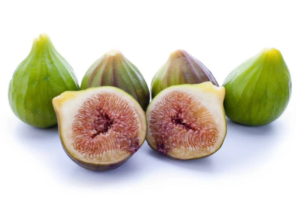 Florentine Fig Seeds - 100+ Fico Bianco Variety - Ficus carica - Non-GMO, Easy to Grow, Fruitful Tree, USDA Zones 7-11