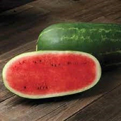 Premium Heirloom Watermelon Seeds - Cal Sweet Supreme Citrullus lanatus, Juicy, Sweet, Vining, Packaged Seeds