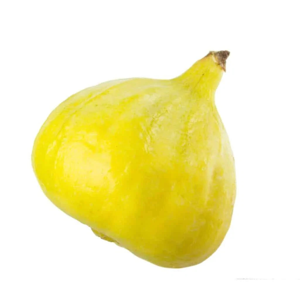 Desert King Fig Seeds - 100+ Ficus carica for Garden Planting, Fruit, Home Garden, Non-GMO, USA Grown