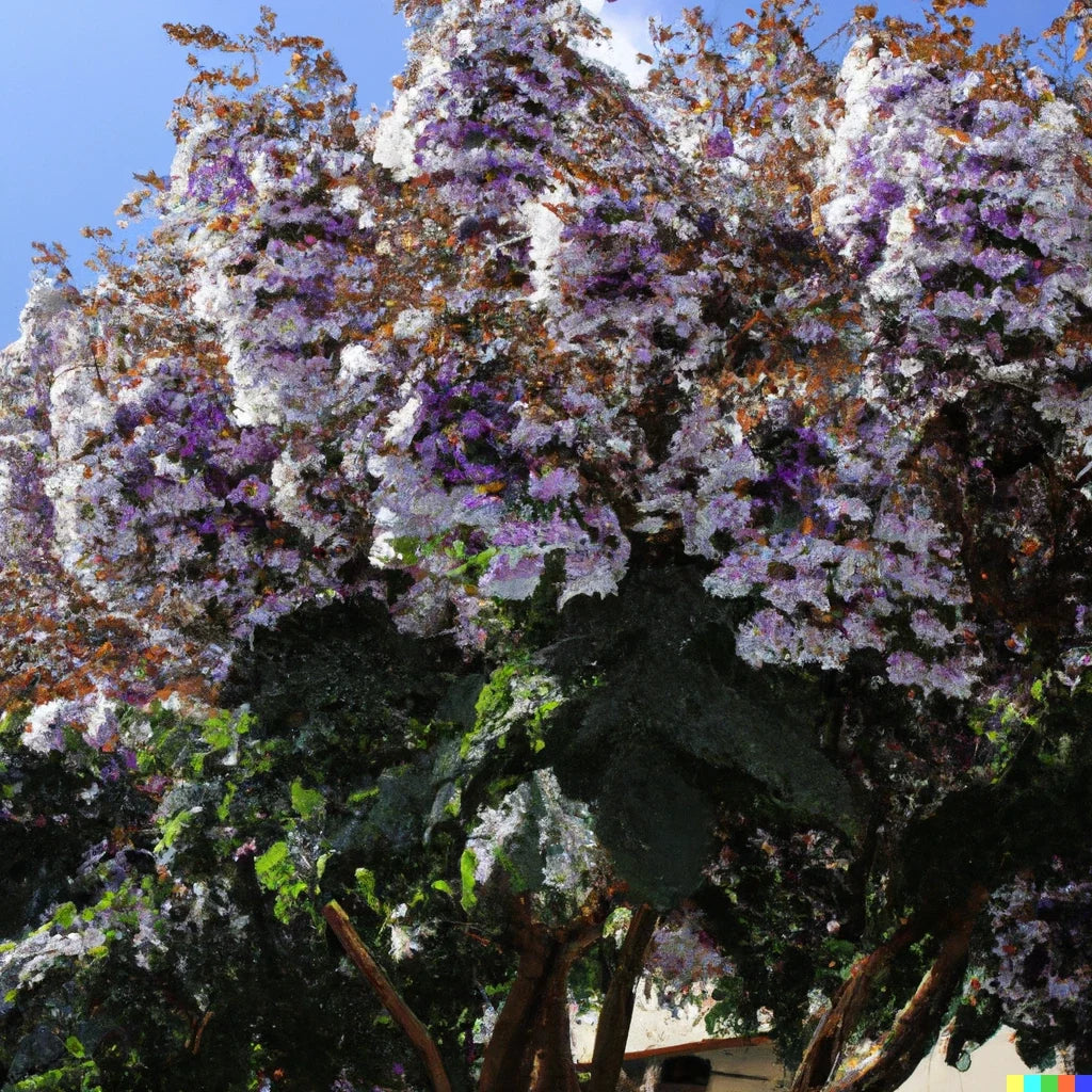 Royal Empress Tree Seeds - 100+ Purple Flowers, Fast Growing, Paulownia tomentosa, Deciduous Tree for Landscaping