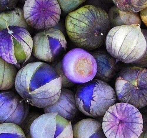 Purple Tomatillo Seeds - 100+ Physalis ixocarpa for Salsa, Canning & Garden | Made in USA