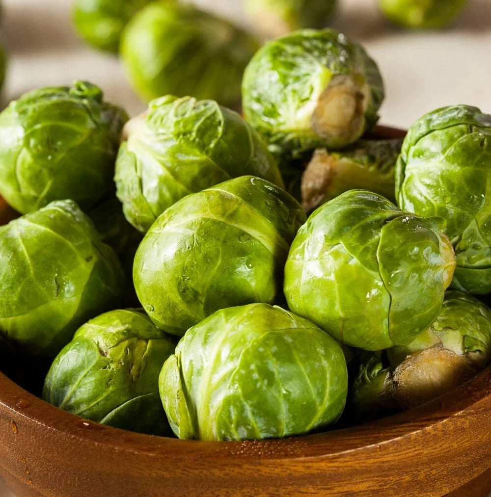 Brussel Sprouts Seeds Pack | 600+ Non-GMO Green Varieties | Brassica oleracea for Home Gardening