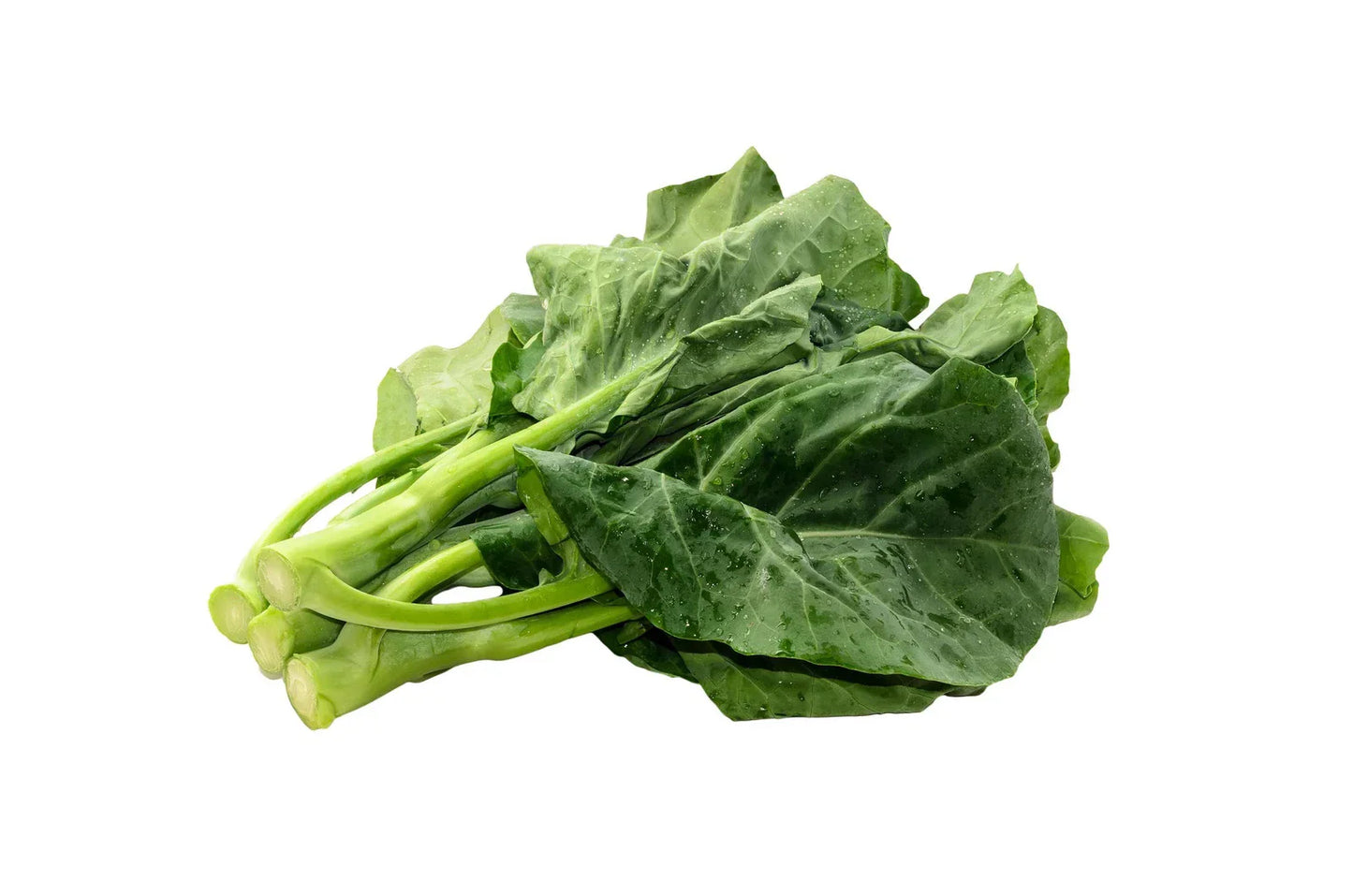 Gai Lan Seeds - Heirloom KAI LANS Asian Chinese Broccoli Kale - Non-GMO Vegetable Seeds