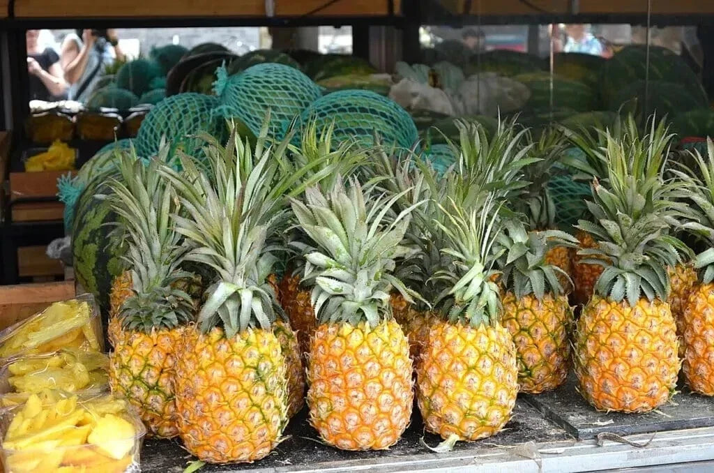 Cayena Lisa Pineapple Seeds Pack of 15+ | Ananas comosus Tropical Fruit Plant for Garden or Container Growth