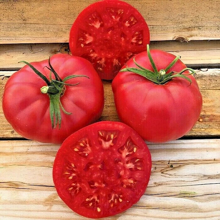 Organic Pink Ponderosa Tomato Seeds - Heirloom, Non-GMO, 50+ for Vegetable & Container Gardening, Solanum lycopersicum