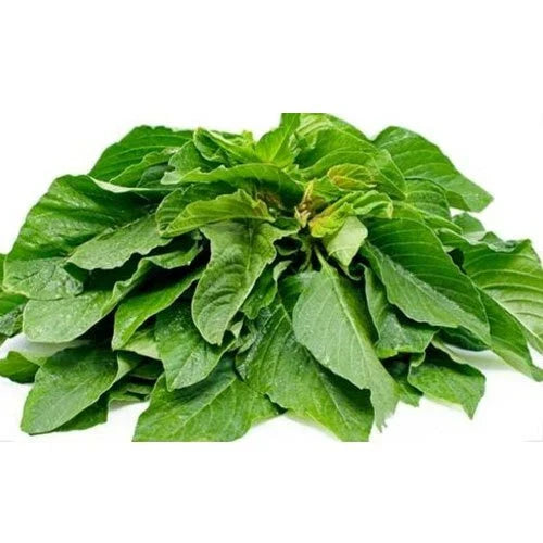 Green Amaranth Seeds - 500+ Count, Chinese Spinach Yin Cho, Amaranthus viridis, USA