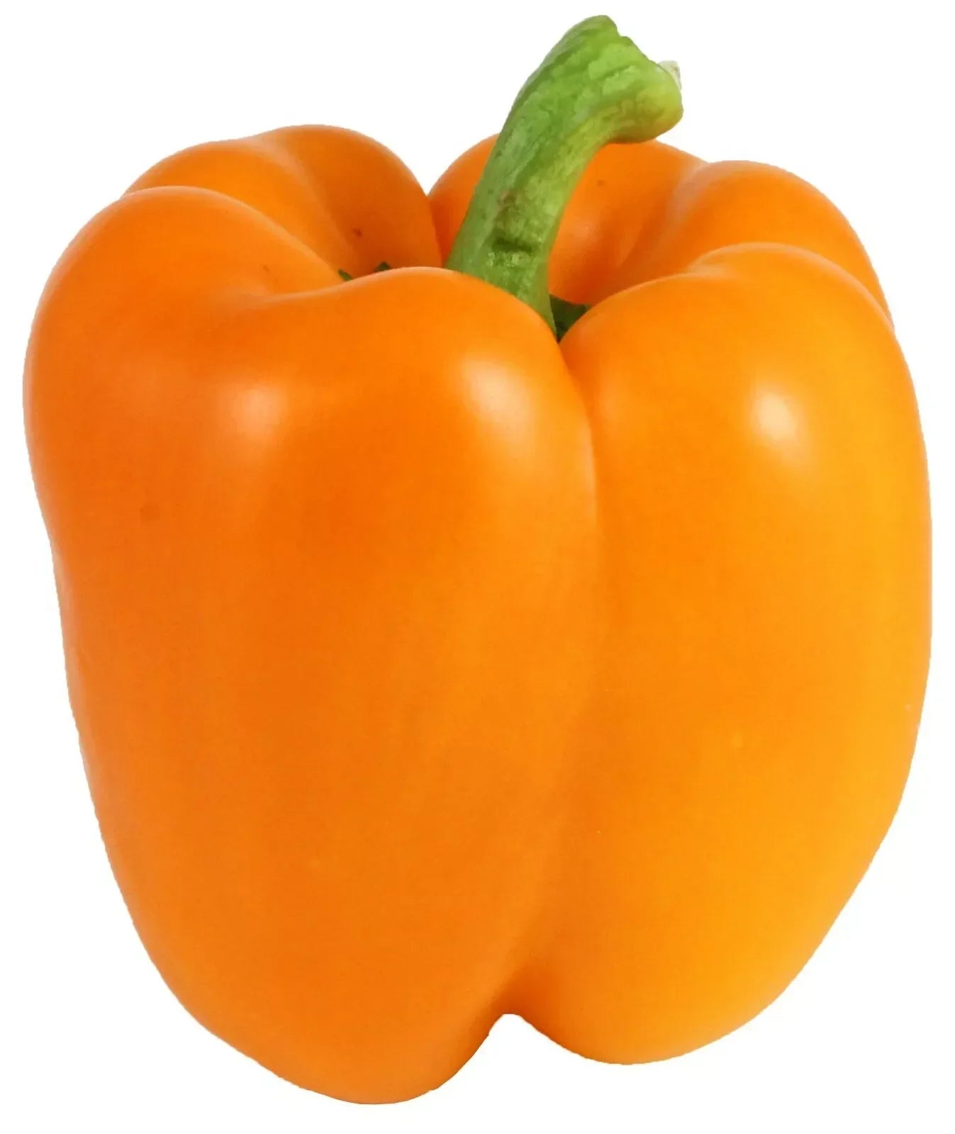 Orange Bell Pepper Seeds - 50+ Non-GMO Heirloom Capsicum annuum Seeds