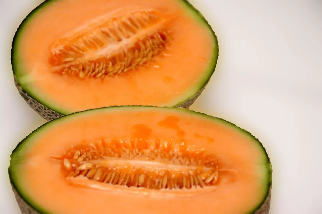 Melon Seeds - 40 Count Iroquois Muskmelon Cucumis melo Cantaloupe for Home Garden, Juicy, Sweet, Non-GMO