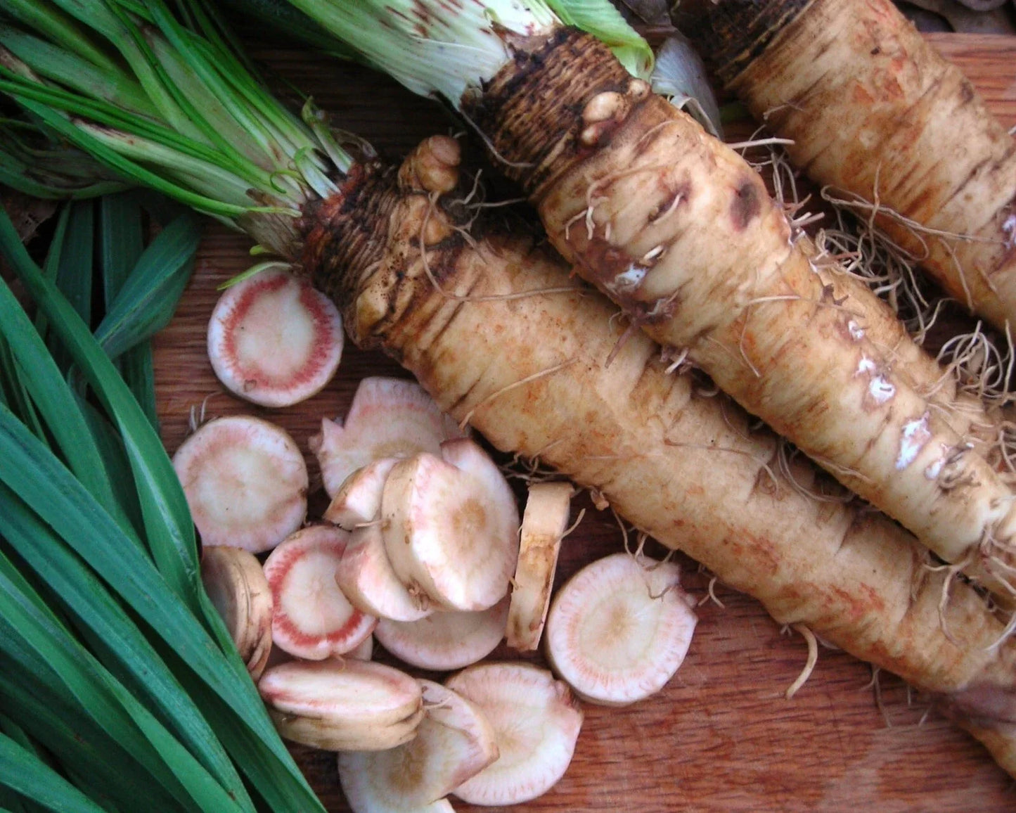 Mammoth Sandwich Island Salsify Seeds - NON-GMO Heirloom Goatsbeard Vegetable Seeds