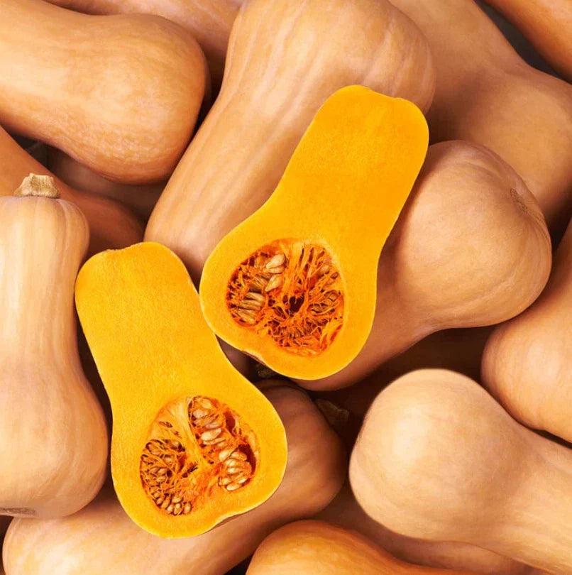 Waltham Butternut Winter Squash Seeds – Heirloom Non-GMO, Sweet Nutty Flavor, 30 Seeds, Cucurbita moschata, Heirloom Vegetable Seeds