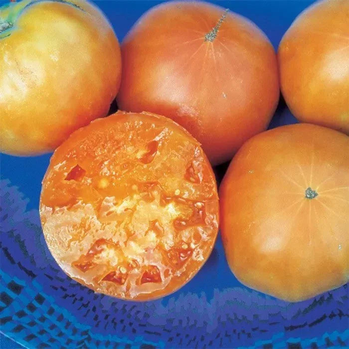 Kellogg's Breakfast Tomato Seeds - 30+ Heirloom Organic Non-GMO Seeds