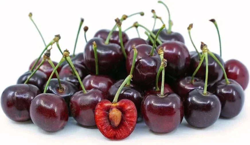 Dark Red Bing Cherry Seeds - 15 Seeds Prunus Avium 2024 Harvest USA Grown