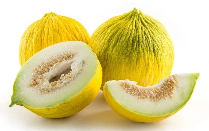 Golden Beauty Casaba Melon Seeds – 20 High-Quality Cucumis melo Vining Seeds for Home Garden