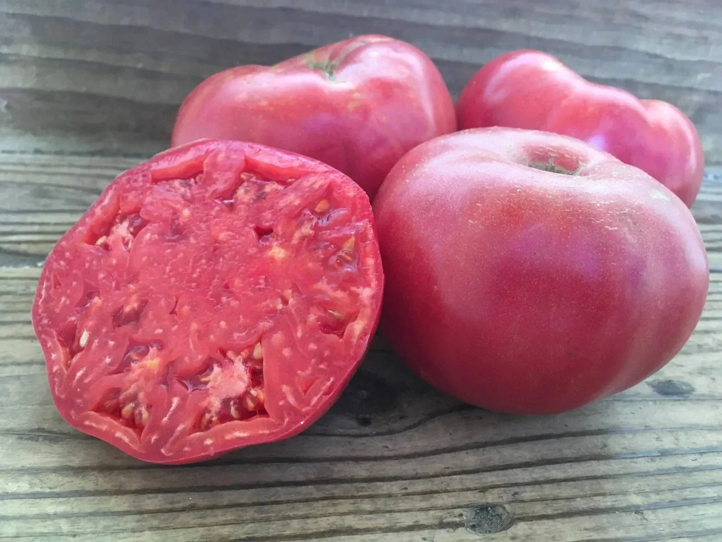 Mortgage Lifter Tomato Seeds - 120+ Heirloom Organic Non-GMO Seeds for Home Gardening