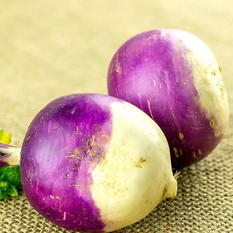 Rutabaga Seeds - Heirloom American Purple Top - Non-GMO Brassica napus - 200 Pack for Home Gardening