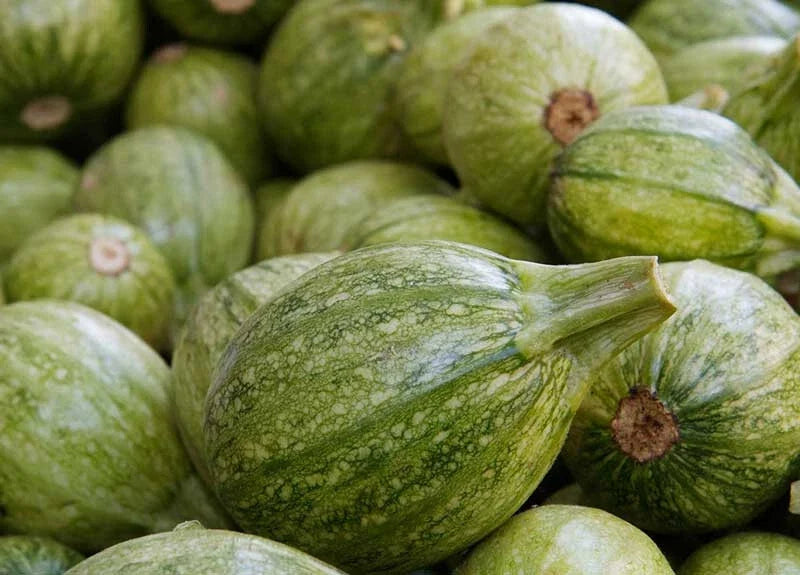 Ronde de Nice Squash Seeds, Heirloom Cucurbita pepo, 25+ Non-GMO Vegetable Seeds for Garden Planting
