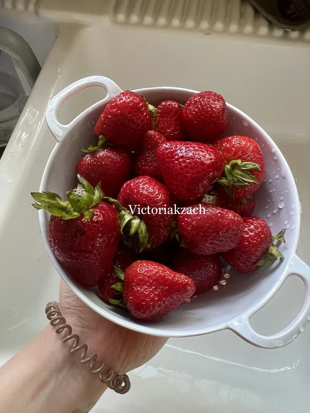Organic Strawberry Seeds - 50 Count - Non-GMO Fragaria x ananassa for Home Gardens