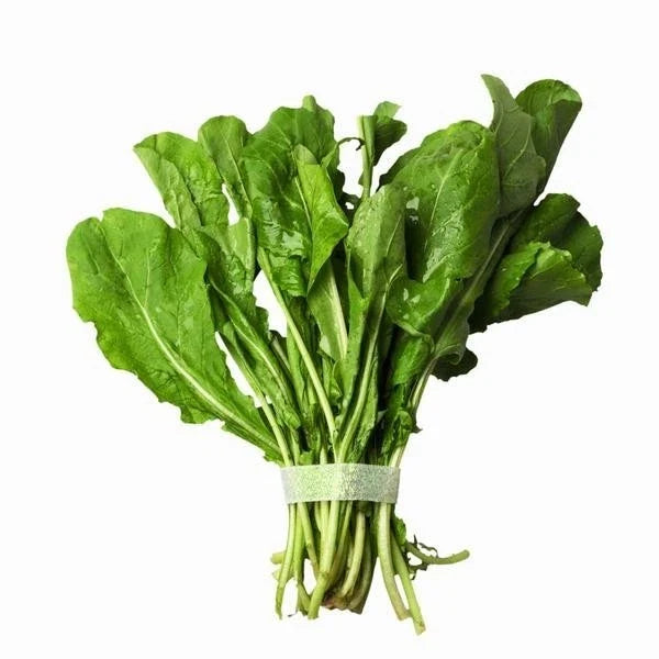 Bulk Arugula Seeds 500 Count Eruca sativa Peppery Herb for Salad Greens and Garnishes