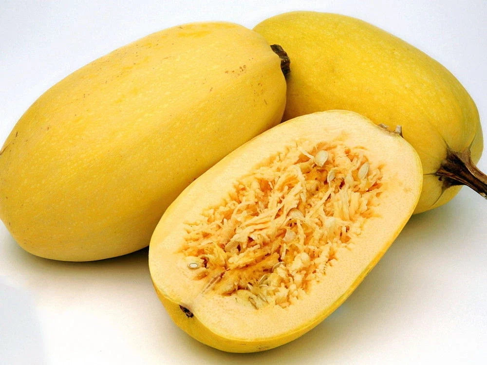 Spaghetti Squash Seeds - Heirloom Cucurbita pepo Vegetable Seeds for Home Garden, Vining, Non-GMO, Pesticide-Free, Pack of 20