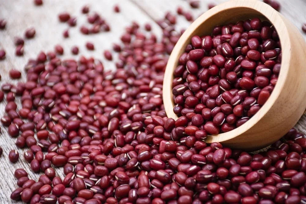 Adzuki Soybean Seeds - 100 Red Bean Seeds for Planting - Vigna angularis - Bush Growth, Nutritious, High-Protein, Versatile Crop