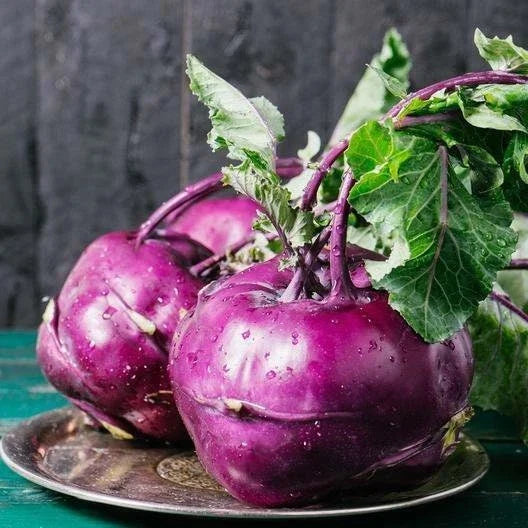Purple Vienna Kohlrabi Seeds - Non-GMO Heirloom Brassica oleracea - 100 Seeds