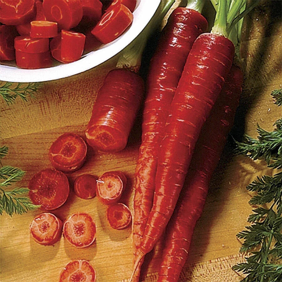 Atomic Red Carrot Seeds - 4,000 Non-GMO Daucus carota, Rare High Lycopene, Vibrant Red Color, Full Sun, Easy Grow, Urban Gardening