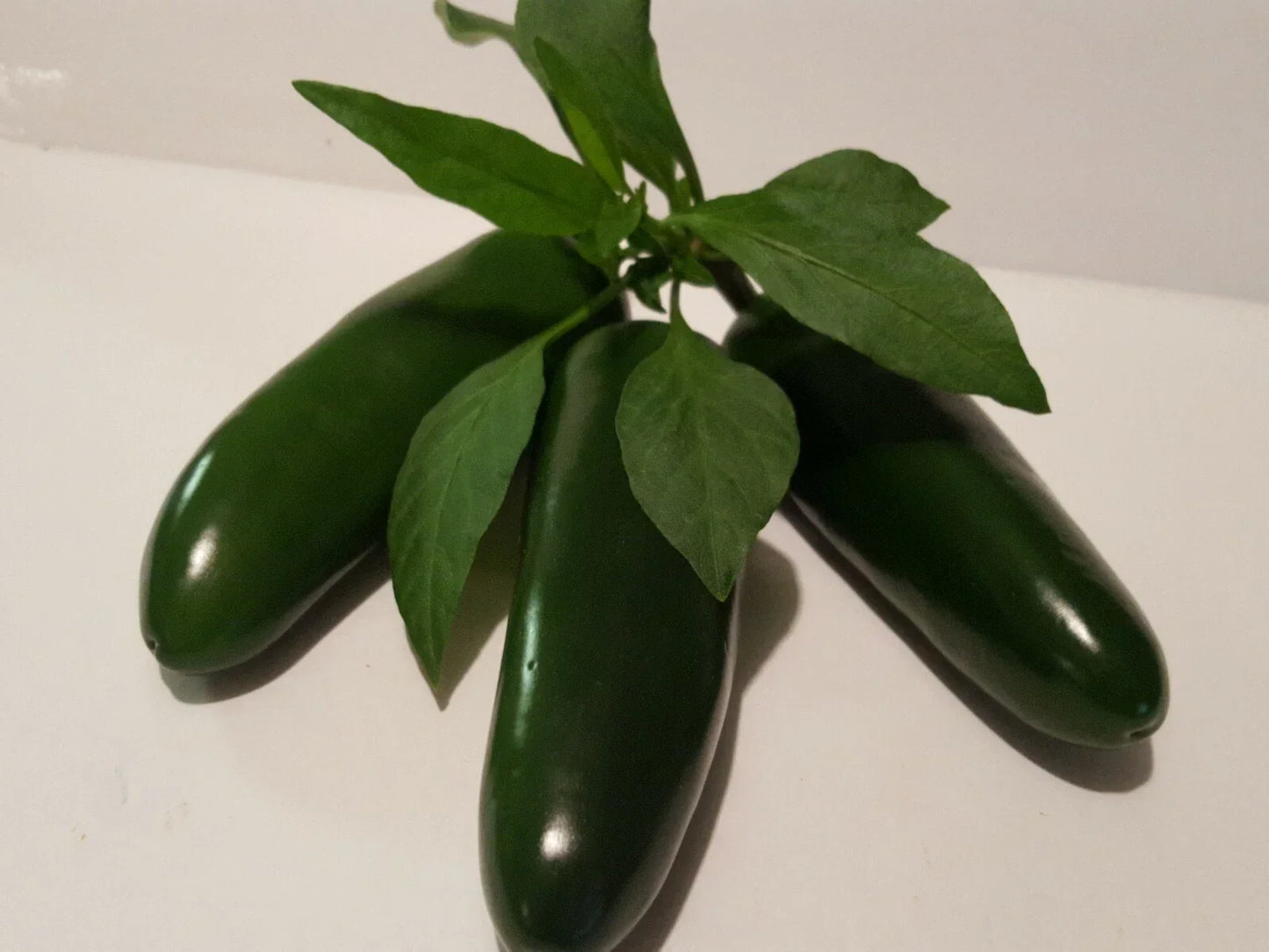Jalapeno Pepper Seeds - 40 Pack - Capsicum annuum - Spicy Pepper Seeds