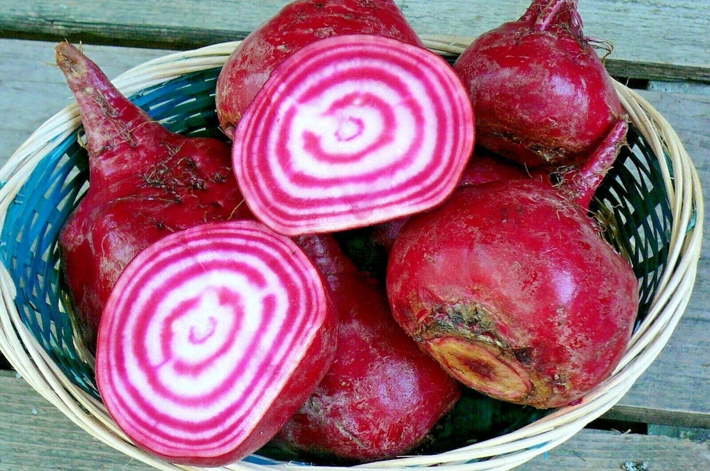 Chioggia Beet Seeds - Italian Heirloom Vegetable Garden Variety - Easy to Grow for Patio & Container Gardening - Beta vulgaris