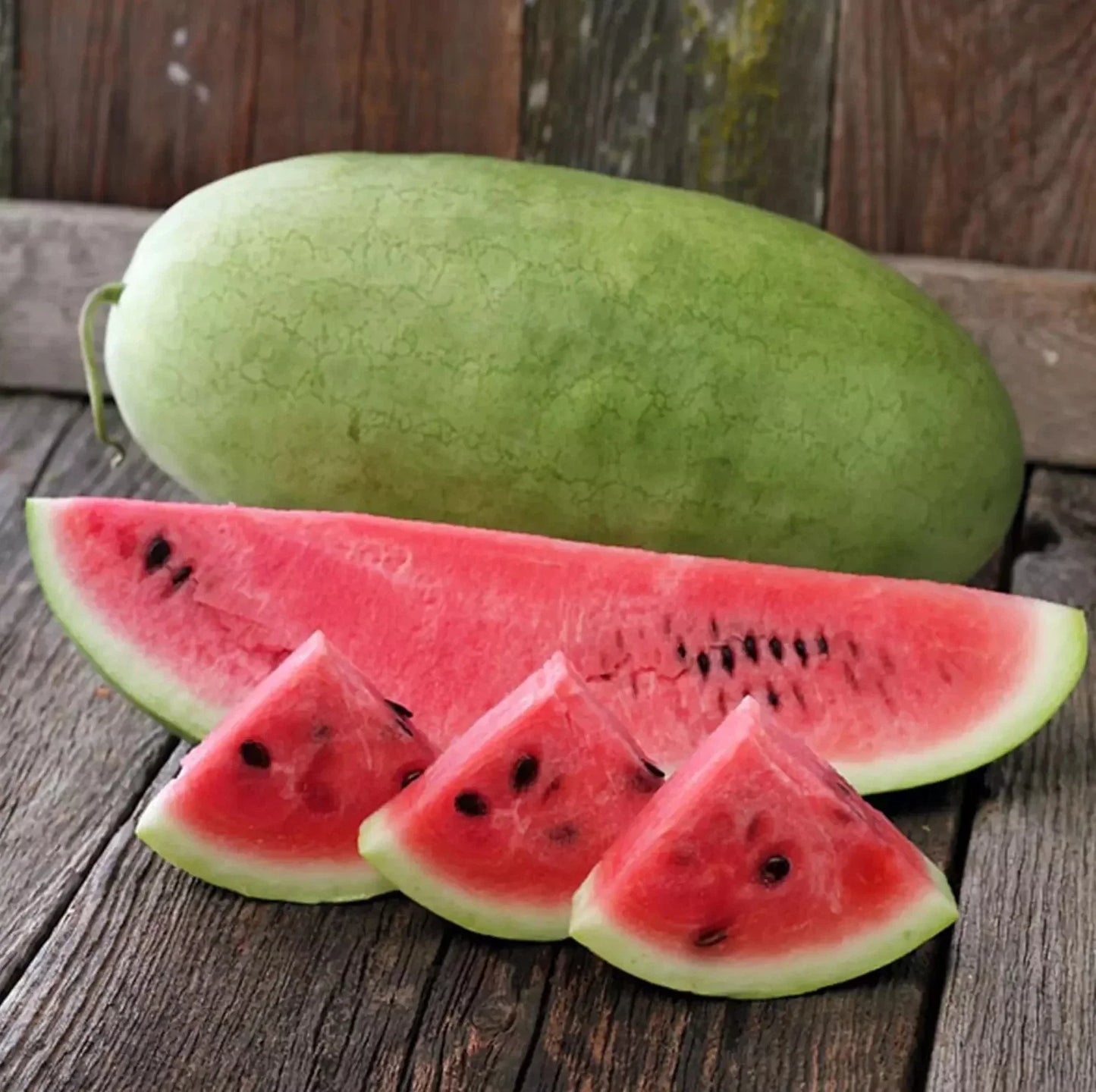 Charleston Grey Watermelon Seeds – Organic Heirloom Non-GMO Citrullus lanatus for Large, Juicy Watermelons