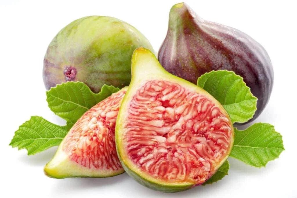 Celeste Fig Seeds - 100 Count Ficus carica 'Celeste' for Garden Planting, Non-GMO, USA Grown