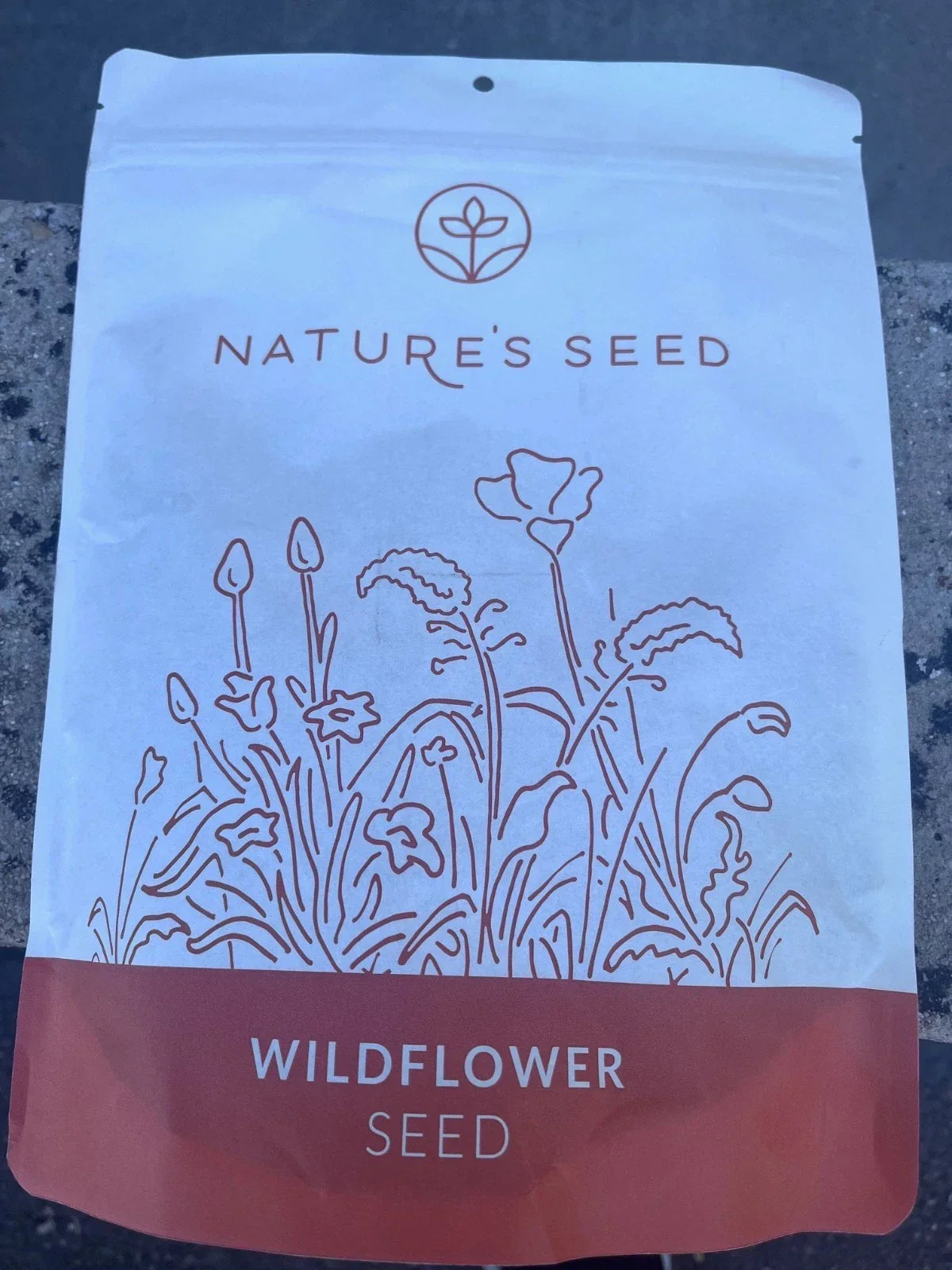 Northeast Wild Flower Seeds 0.5 lbs - Native Mix for Pollinators, Gardens & Landscapes