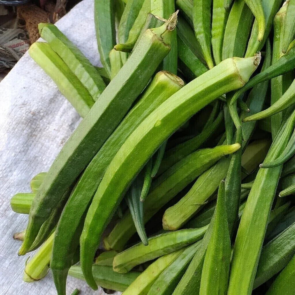 Perkins Long Pod Okra Seeds - 100+ Heirloom Non-GMO Seeds for Home Gardening