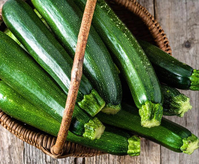 Dark Green Zucchini Squash Seeds – 20+ Italian Courgette Cucurbita pepo Vegetable Seeds for Home Gardening