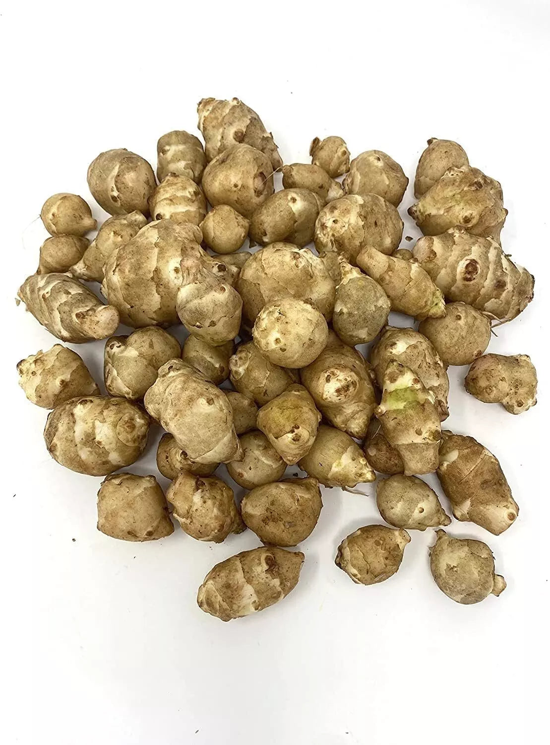 Organic White Sunchoke Tubers - Helianthus tuberosus - Non-GMO Jerusalem Artichoke for Planting