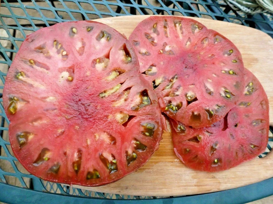 Organic Cherokee Purple Tomato Seeds – Heirloom Solanum lycopersicum for Summer Garden & Container Planting