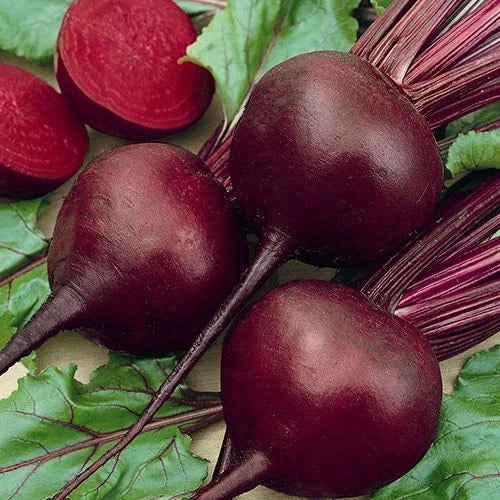 Detroit Dark Red Beet Seeds - Organic Non-GMO Open Pollinated Beta vulgaris, 150+ Seeds for Home Garden