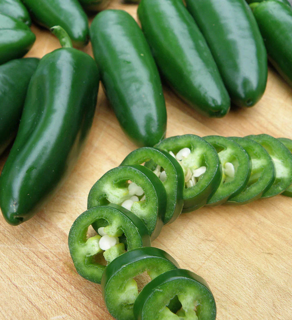 Jalapeno M Pepper Seeds Non-GMO | Capsicum annuum Hot Pepper Seeds