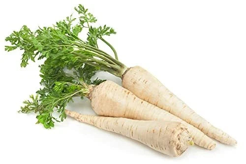 All American Parsnip Seeds - 250+ Seeds, Pastinaca sativa, Rare Garden Vegetable, Root Vegetable, Frost Tolerant