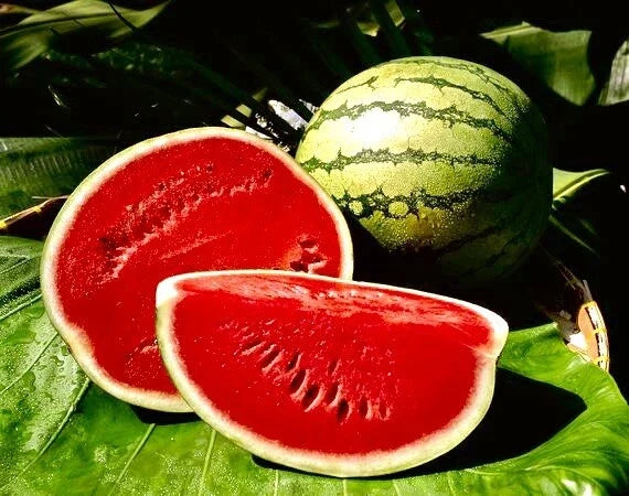 Crimson Sweet Watermelon Seeds - Non-GMO Heirloom Citrullus lanatus, Juicy Red Flesh, 25+ Seeds, Garden, Summer, Fruit Plant