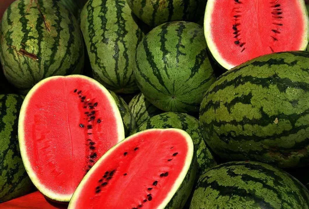 Kleckley's Sweet Watermelon Seeds - 100+ Heirloom Citrullus lanatus Seeds