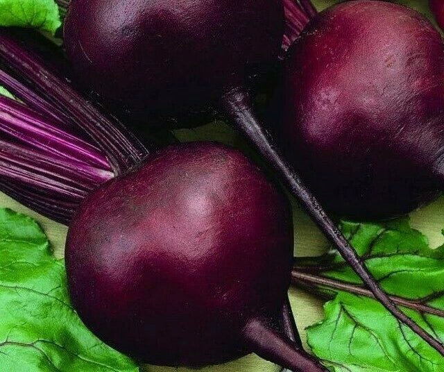 Detroit Dark Red Beet Seeds - 100+ Non-GMO Vegetable Seeds Beta vulgaris