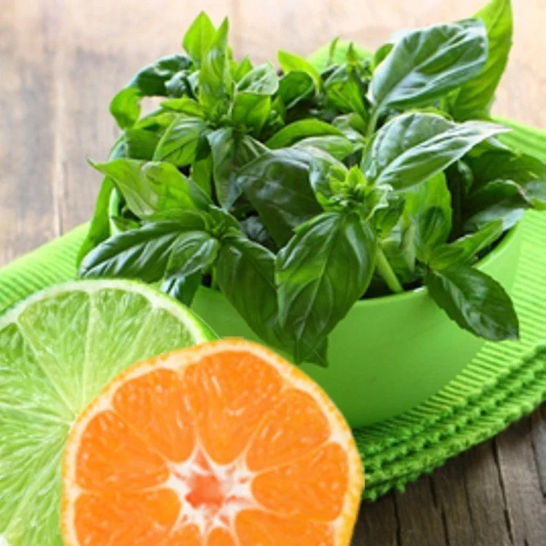 Lime Basil Seeds - 100 Seeds - Ocimum basilicum - Citrus Aroma for Cooking
