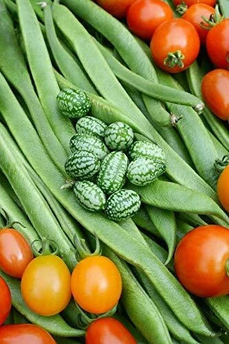 Cucamelon Seeds - 20 Pack - Mexican Sour Gherkin - Melothria scabra - Organic, Heirloom, Made in USA