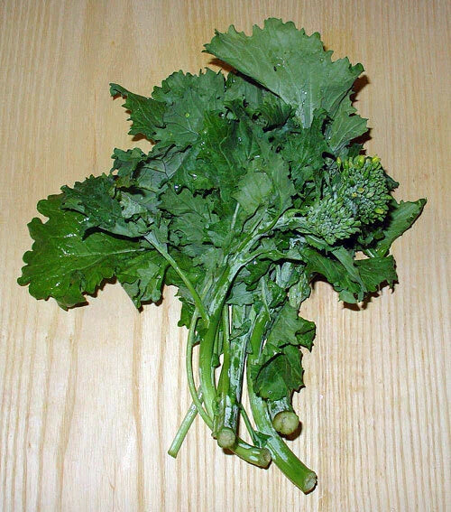 Broccoli Raab Seeds 1000 Count - Heirloom Rabe Rapini Flowering Brassica