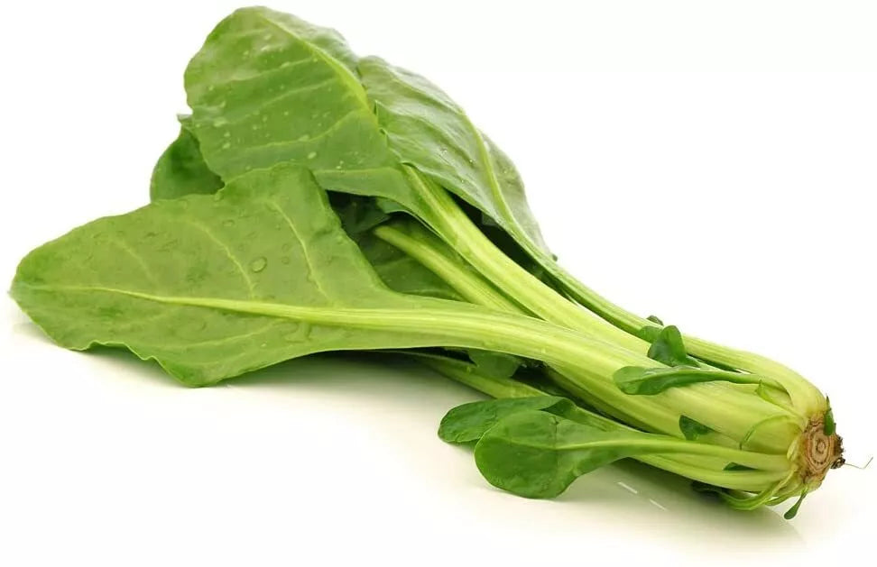Chinese Spinach Seeds 100 Pack - Organic Ipomoea aquatica Edible Greens for Garden