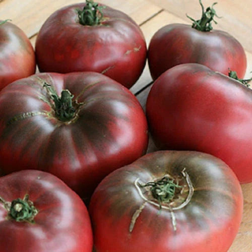 Cherokee Purple Tomato Seeds, Heirloom Non-GMO, Solanum lycopersicum, Juicy Deep Purple Tomatoes, Salad & Sauce