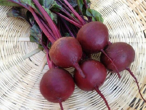 Beet Seeds 8,000 Count - Detroit Dark Red Beta vulgaris Frost Hardy Globe-Shaped Roots Seed Packet